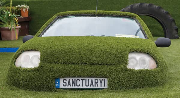 Sanctuary car in Grassland