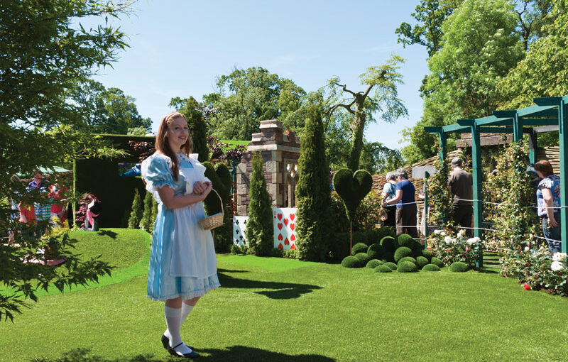 sanctuary synthetics alice in wonderland bloom garden