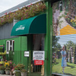 sanctuary synthetics HQ Grassland