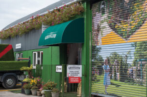 sanctuary synthetics HQ Grassland